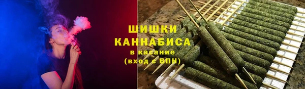 прущие грибы Абинск