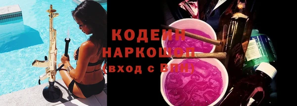 прущие грибы Абинск